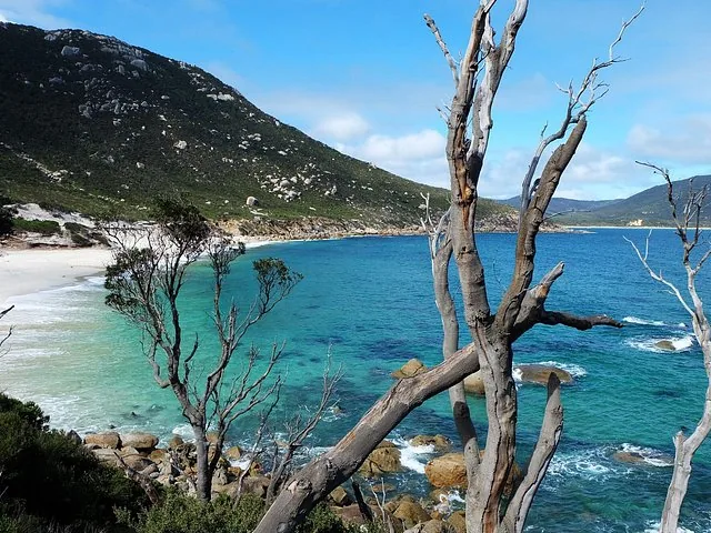 Scenic view of a sandy beach, clear turquoise water, and forested hills.